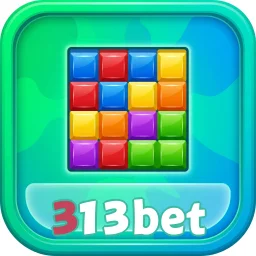 313bet